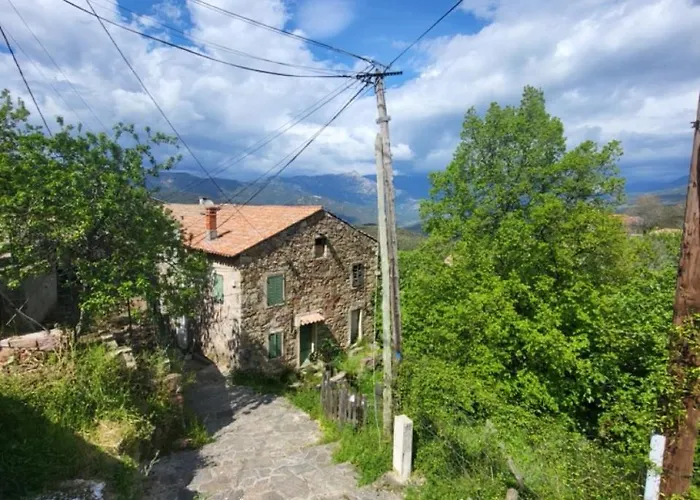 Maison Avec Aux Portes D'ajaccio Feriehus Carbuccia